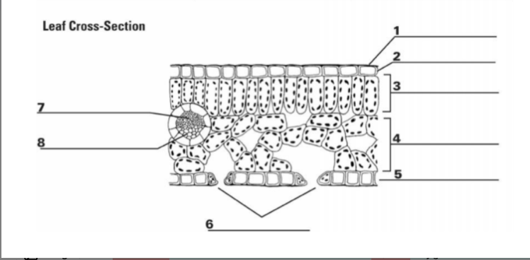 <p>what is number 6 and how is it useful</p>