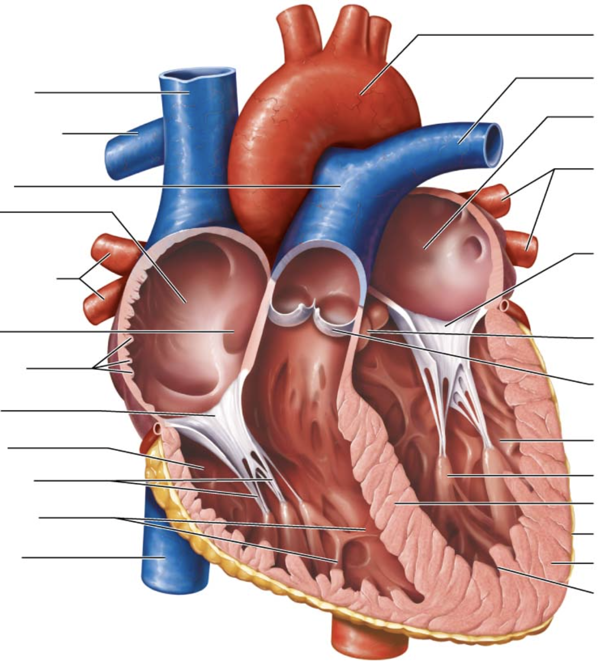 <p>sixth arrow on right</p>