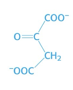 <p>what is this structure</p>