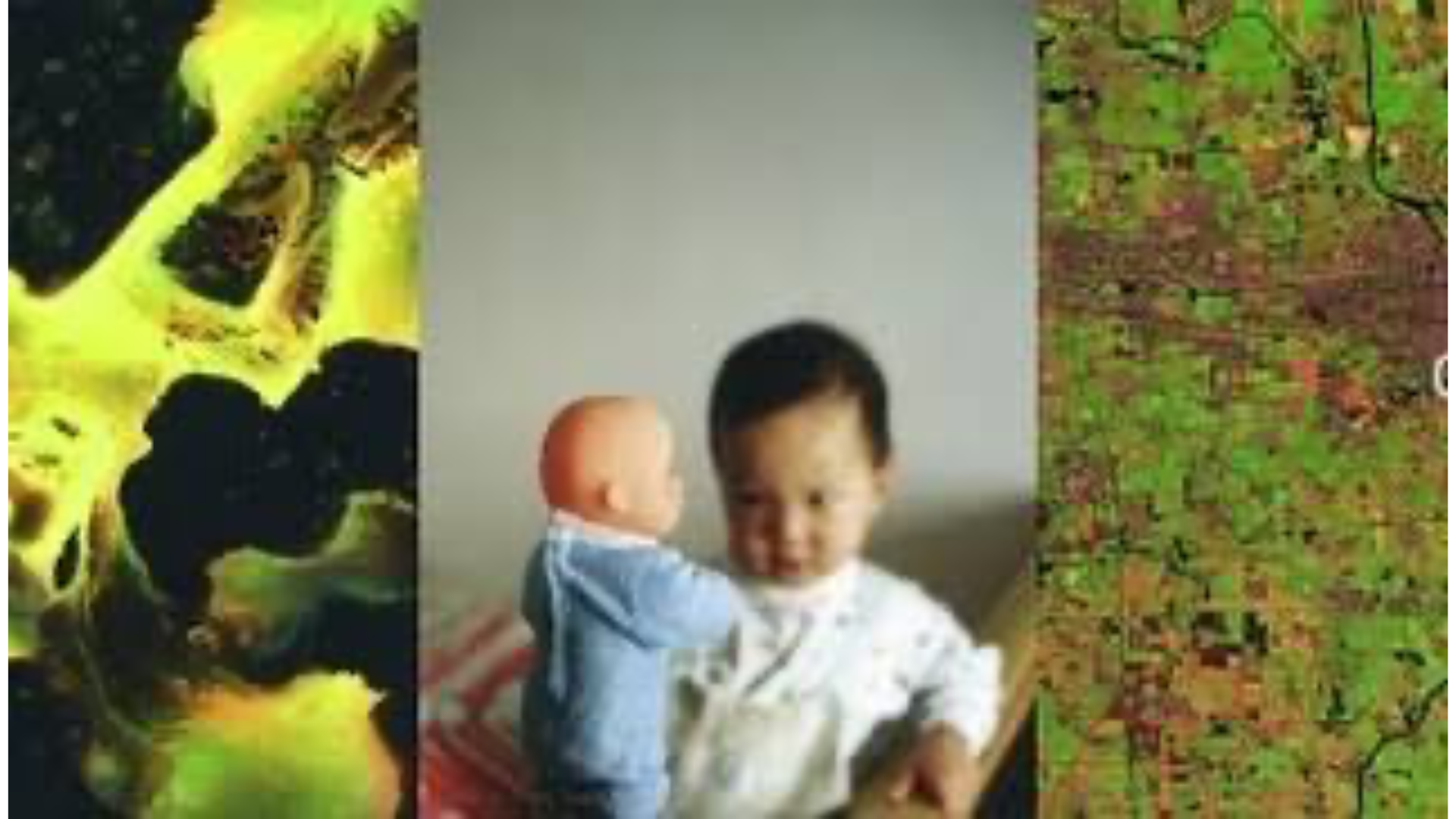 term image