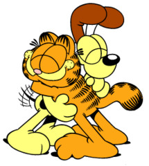 <p>friend</p>