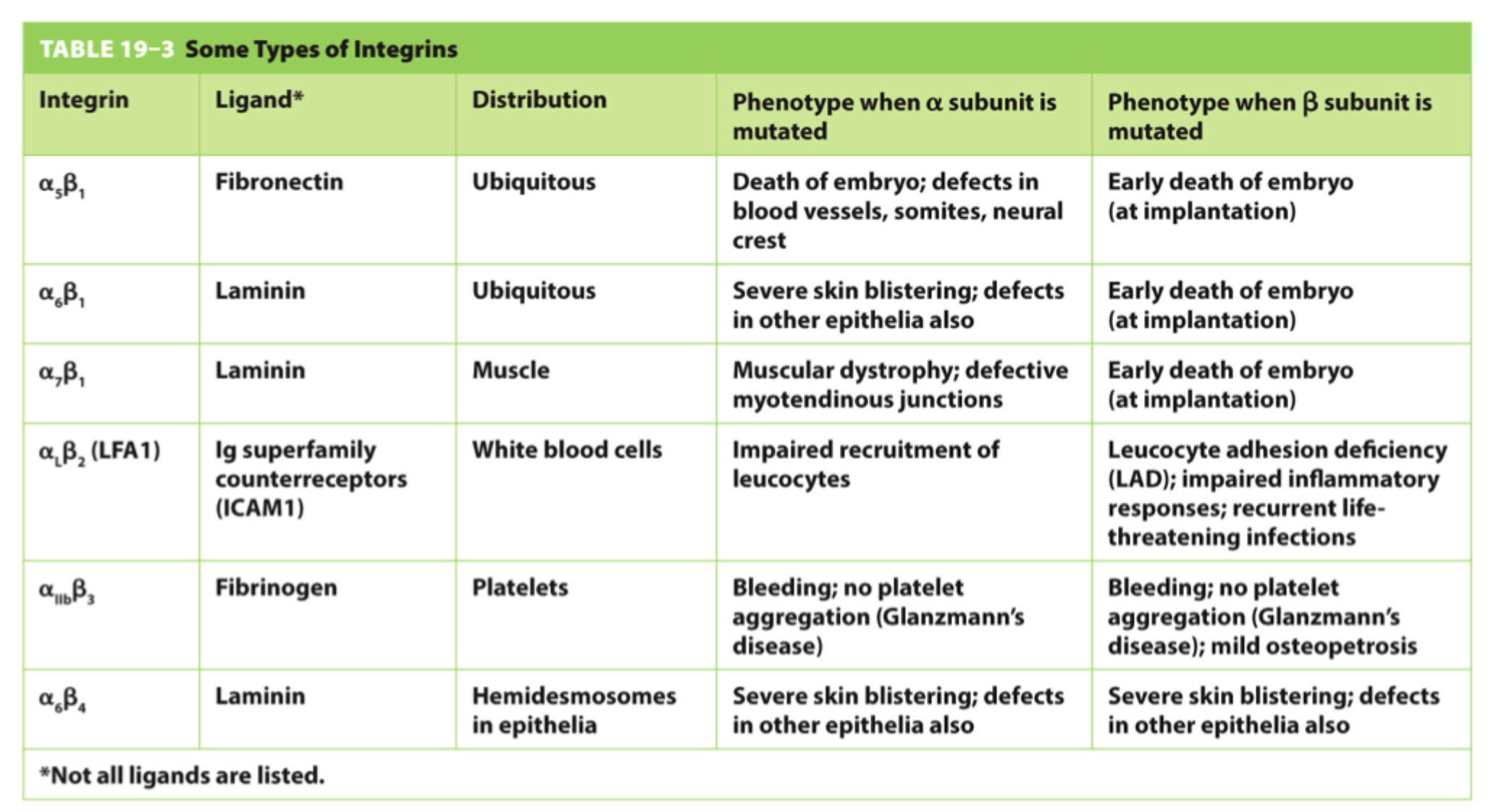 <p>Hvad er hovedpointen med sygdomstabellen?</p>