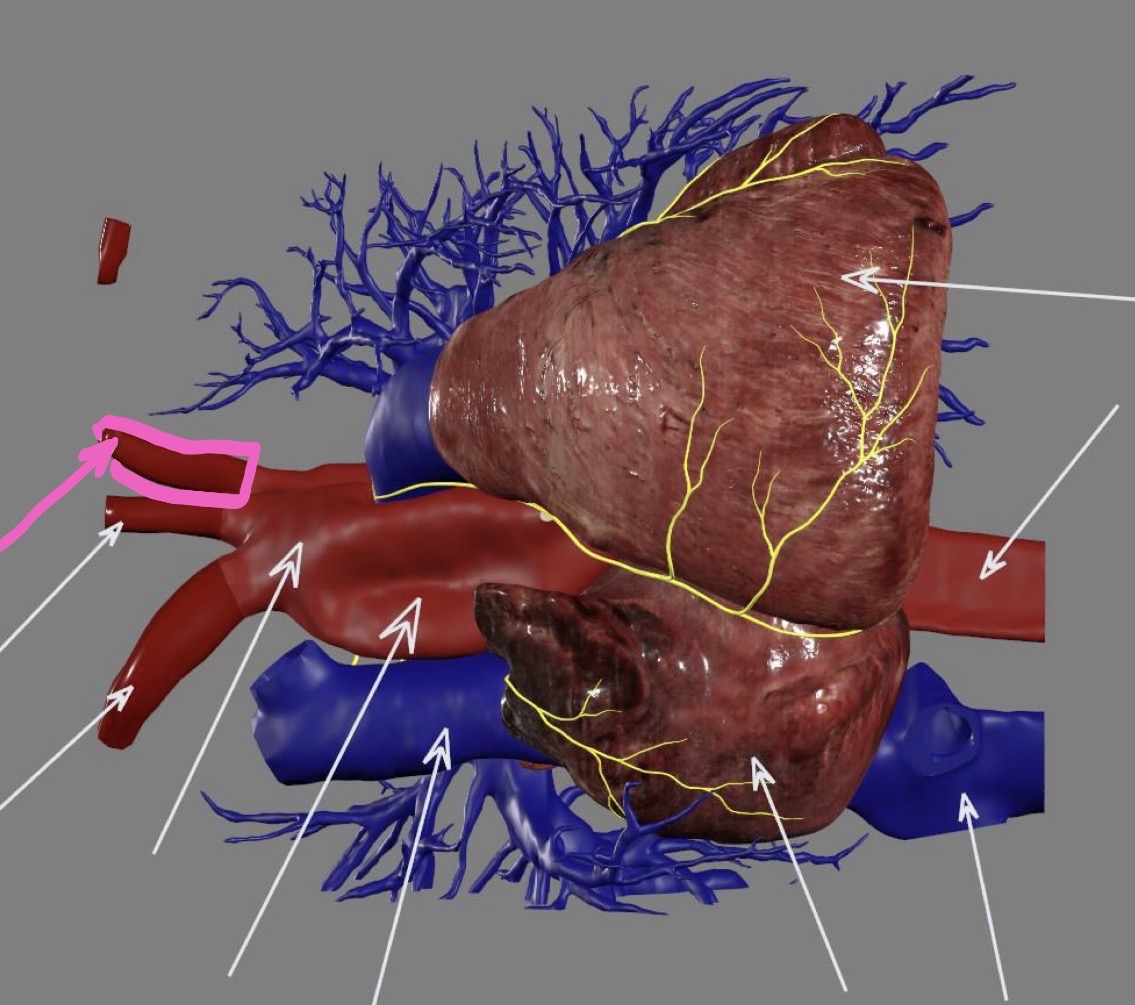 <p>What’s the highlighted area?</p>