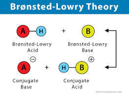 <p>What is the Brønsted-Lowry theory of acids and bases?</p>