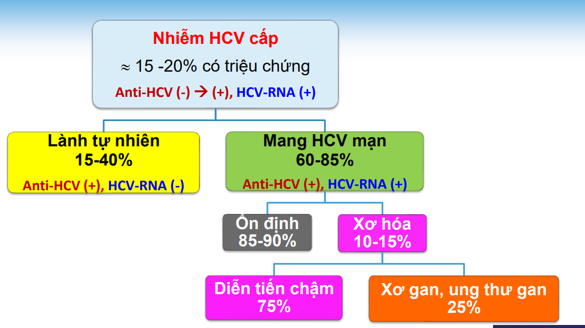 <p>Xét nghiệm đầu tay là Anti-HCV→ta biết có nhiễm HCV nhưng k bt cấp tính, mạn tính hay đã khỏi</p><p>Thêm chỉ định HCV-RNA khi Anti-HCV(+)→HCV-RNA(-)→đã khỏi, HCV-RNA(+)→nhiễm mạn tính</p><p>Trong 1 số ca phơi nhiễm có nguy cơ HCV cấp tính</p><p>→xét nghiệm nhiều lần nếu Anti-HCV chuyển từ (-) sang (+) kèm HCV-RNA (+)→HCV cấp tính</p>