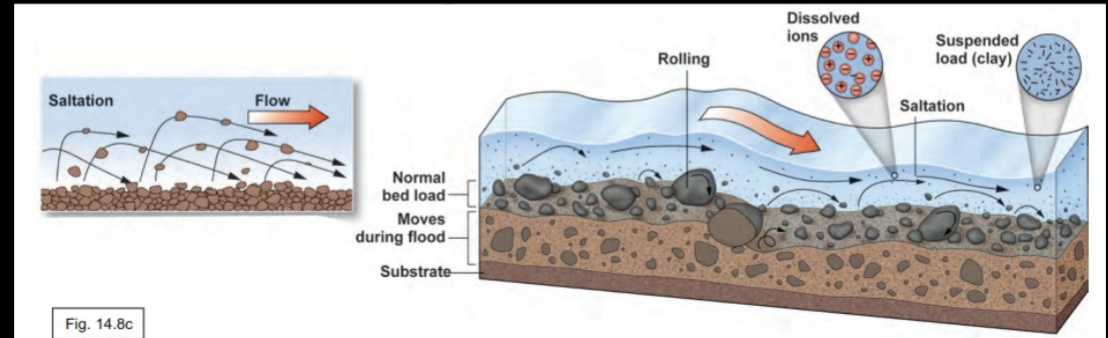 <p>Sediment load = material moved by running water</p><p>• Dissolved load – ions from chemical weathering</p><p>• Suspended Load – fine particles (silt and clay) floating in the water</p><p>• Bed Load – larger particles that roll, slide, and bounce along the bottom</p>
