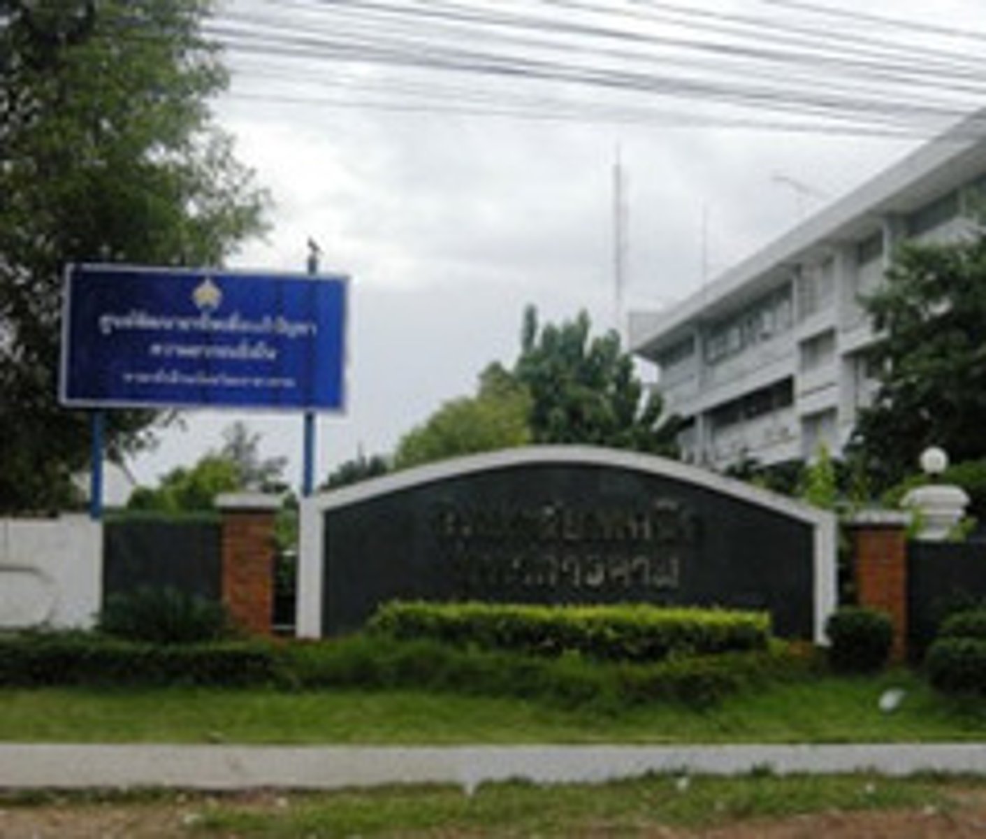 <p>trường cao đẳng</p>
