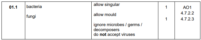<ul><li><p>Bacteria</p></li><li><p>Fungi</p></li></ul><p></p>