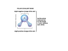 <p>A bond with unequal sharing of electrons, exemplified by water (H2O).</p>
