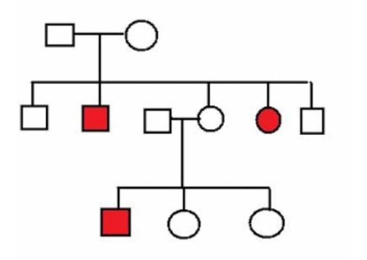 <p>What is the MOST likely mode of inheritance for the trait segregating in the pedigree below?</p>