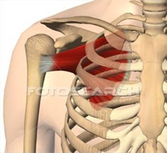 <p>Identify the structure</p>