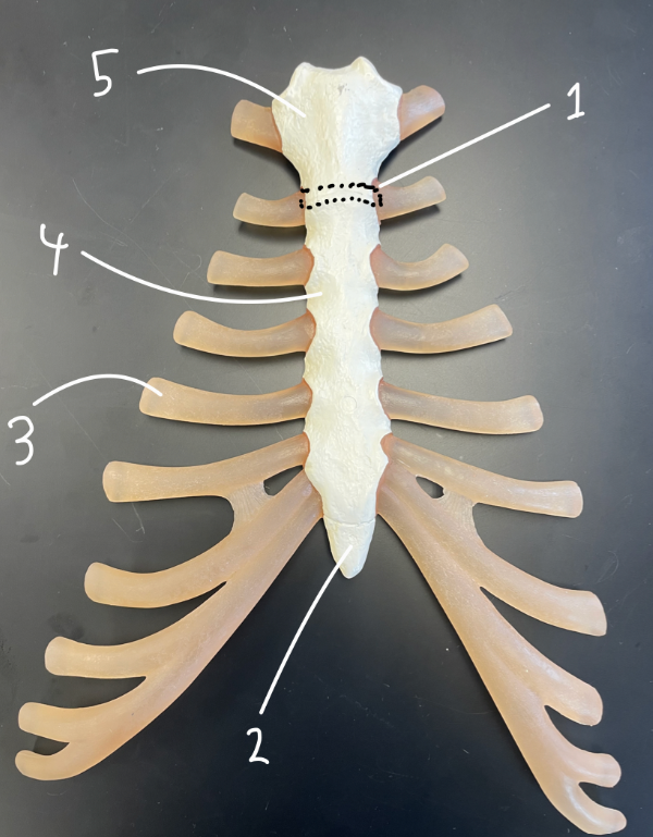 <p>2</p>