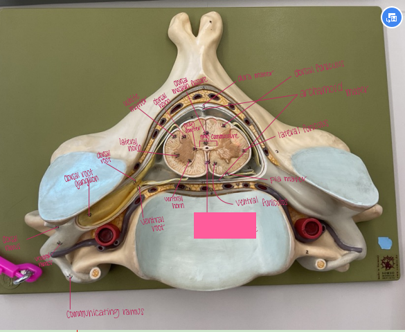 <p>What is being shown? </p>