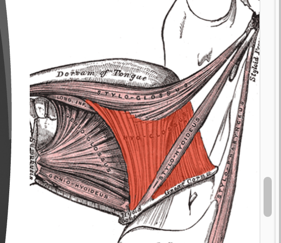 <p>what does this show</p>