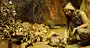 <p>captive breeding program (n) </p>