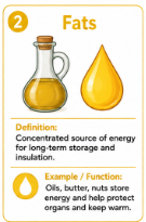 <p>Nutrients that store energy and help build parts of cells.<br>Example: The body can store fat as an energy reserve.</p>