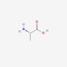 <p>What amino acid is this (including abbreviation)? How is it categorized?</p>