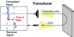 <p>using the echoes returning from the tissues. the distance of the reflector from the transducer is based on the time of flight of sound wave</p>
