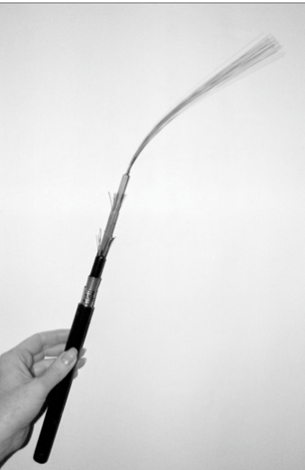 <ul><li><p>A thin glass cable approximately a little thicker than a human hair surrounded by a plastic coating and packaged into an insulated cable</p></li><li><p>A photodiode or laser generates pulses of light which travel down the cable and are received by a photoreceptor</p></li><li><p>Can carry the highest data rate for the longest distances</p></li><li><p>More expensive than twisted pair and coaxial cables</p></li><li><p>Immune to EMI</p></li></ul><p></p>