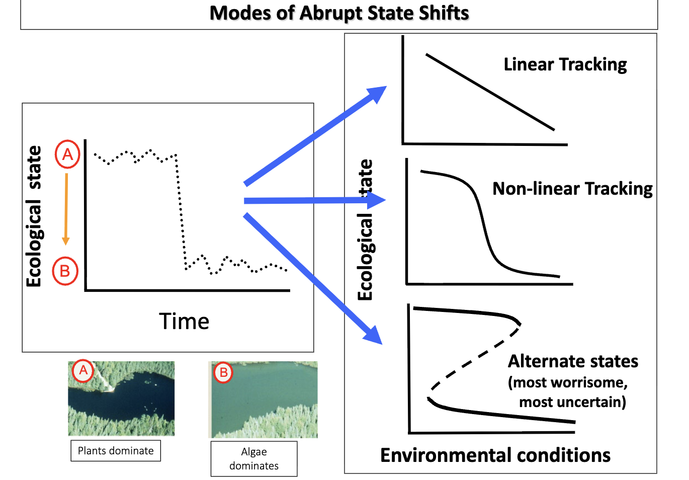 <p>non-linear tracking: system will tend to return to pre-disturbed states </p><p>alternative states: large disturbances can trigger a persistent shift to an alternate state with no change in environmental conditions </p>