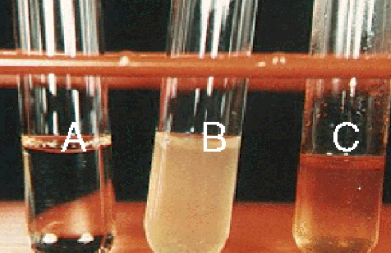 <p><strong>MR </strong>(MR-VP) broth reagents?</p>