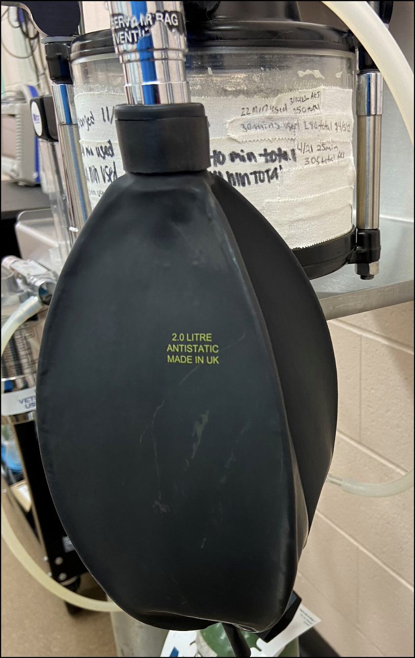 <p>is this normal for rebreathing bag</p>