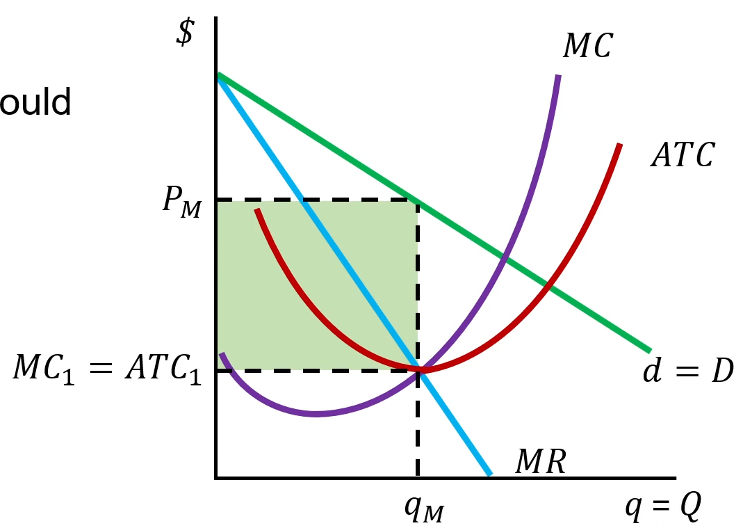 <ul><li><p>It is possible the monopoly could profit maximize right at the minimum efficient scale quantity</p></li><li><p>But is NOT likely</p></li></ul><p></p>