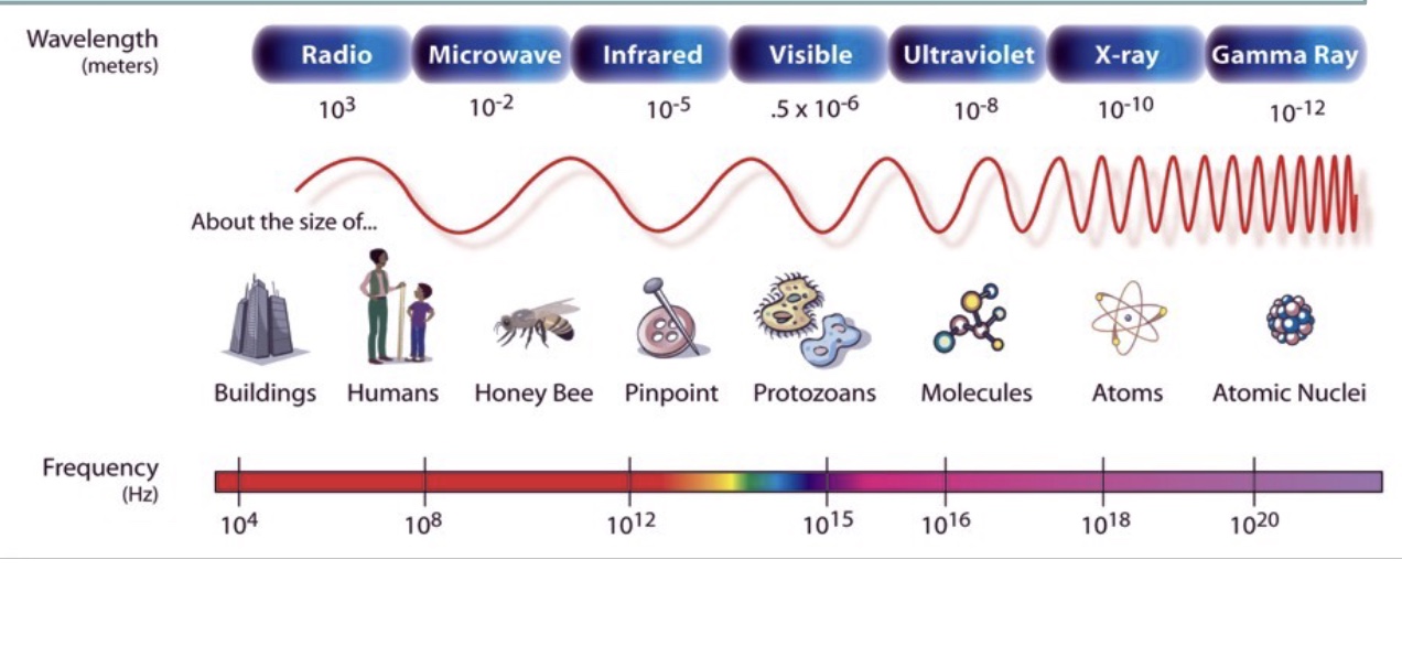 <ul><li><p>the term “light” or “radiation” refers to any electromagnetic (EM) wave listed</p></li><li><p>the human eye is sensitive to a small part of the electromagnetic spectrum (visible)</p></li><li><p>but we are familiar with ‘invisible light’: mobile phones use radio waces, microwave oven uses microwaves, TV remote uses infrared light, tanning booths use ultraviolet light, medical imaging uses x-rays, cancer radiotherapy uses gamma rays</p></li></ul><p></p>