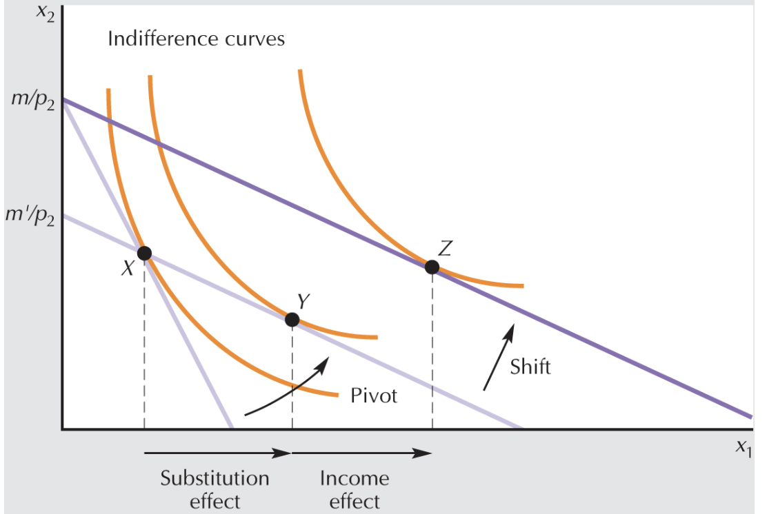 <p>Slutsky decomposition income and sub effects, price fall</p>