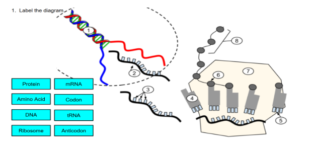 <p>3</p>
