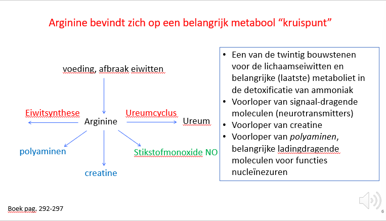 <ul><li><p><span>Arg kan hergebruikt worden&nbsp; in de eiwitsynthese</span></p></li><li><p><span>Arg is ook een belangrijke metaboliet bij de ureumcyclus voor het verwijderen van overtollig N uit ons systeem.</span></p></li><li><p><span>Arg is ook een voorloper van polyaminen en creatine en is ook de donor van NO in de omzetting van Arg naar citruline door NO-synthasen.</span></p></li></ul><p></p>