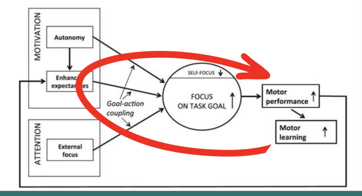<ul><li><p>An individual’s need to play a role in determining their behavior</p></li><li><p>Ties into intrinsic motivation → We put more effort into things we aren’t forced to do. </p></li><li><p>Perceived autonomy increases enhanced expectancies. </p></li></ul><p></p>