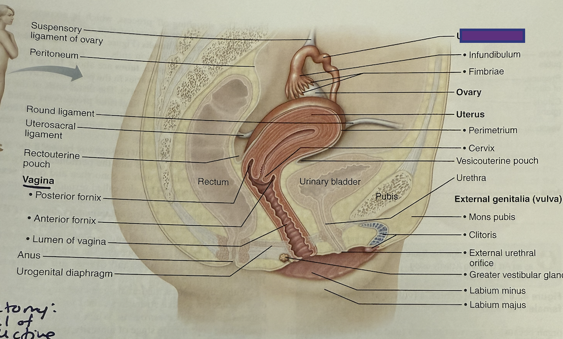 <p>What is this and its function?</p>