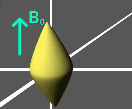 <p><span>The isotopes of which elements can spin at ½ nuclei?</span><br> </p><p>A. Hydrogen</p><p>B. All of these</p><p>C. Carbon</p><p>D. Nitrogen</p>