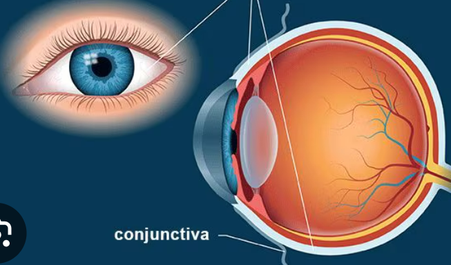 <p>What is the arrow pointing at</p>