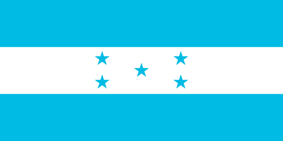 <p> </p>