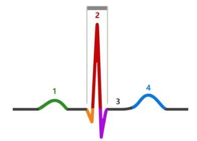 <p>name part 3 and explain what is happening</p>
