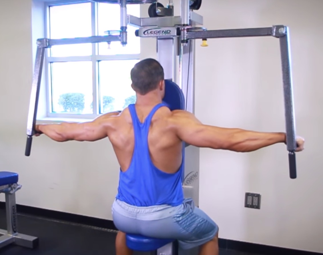 <p>Seated rear delt/ reverse chest fly machine target muscle and joint action</p>