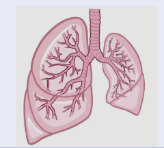 <p><span style="background-color: transparent;">Atelectasis</span></p>