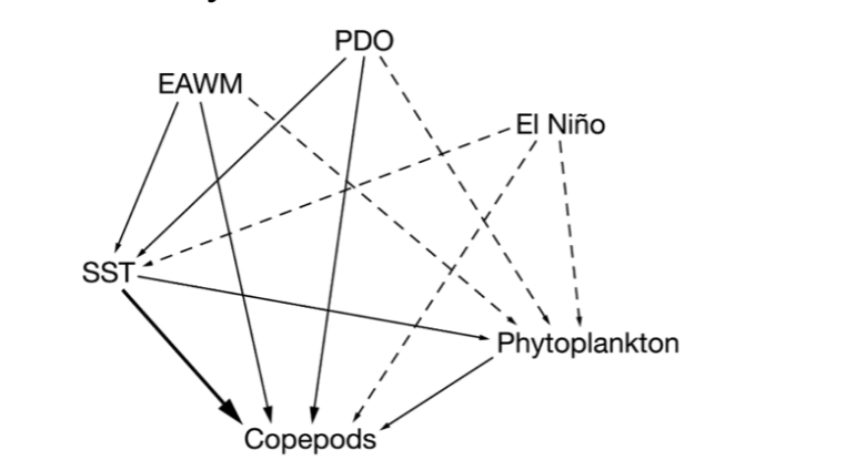 <p><span><span>Climate change can affect oceanic ecosystems and their food webs. In the East China Sea (ECS), three major climactic events were considered:</span></span></p><ul><li><p><span><span>﻿﻿the Pacific Decadal Oscillation (PDO),</span></span></p></li><li><p><span><span>﻿﻿the East Asia winter monsoon (EA WM), and</span></span></p></li><li><p><span><span>﻿﻿the El Niño Southern Oscillation.</span></span></p></li></ul><p><span><span>Figure 1 shows the relationships among these climactic events, surface sea temperature (SST), amount of phytoplankton, and copepod abundance. Copepods are important primary consumers in this ecosystem, and many species of fish depend on copepods as a food source. Solid arrows on the diagram indicate a statistical effect. The thicker the arrow, the greater the effect. Dashed arrows indicate statistically insignificant relationships.</span></span></p><p></p><p><span><span>Figure 1. Structural equation model deciphering interactions among climate, phytoplankton, and copepods in the southern East China Sea. Solid arrows indicate statistical effects, with the thickness of the arrow reflecting the relative effect. Dashed arrows indicate inconsequential effects.</span></span></p><p><span><span>What do the data in Figure 1 suggest about a null hypothesis that the East China Sea ecosystem is unaffected by climactic events?</span></span></p>