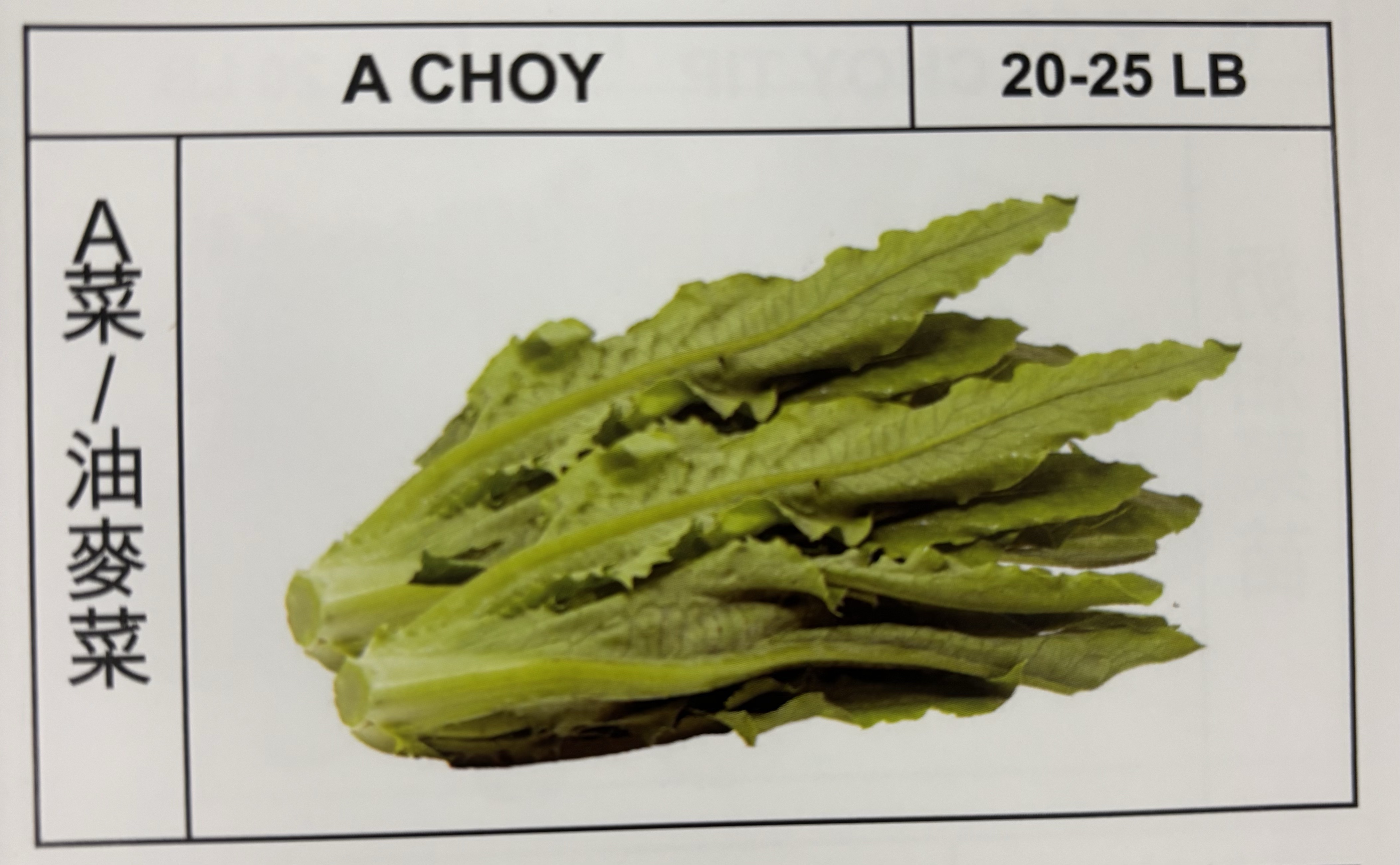 <p>A CHOY</p>