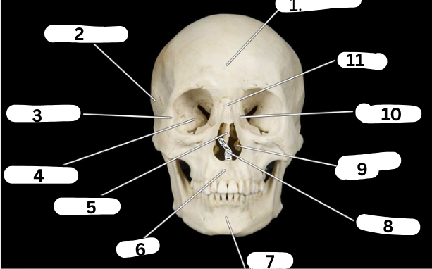 <p>What Is 6?</p>