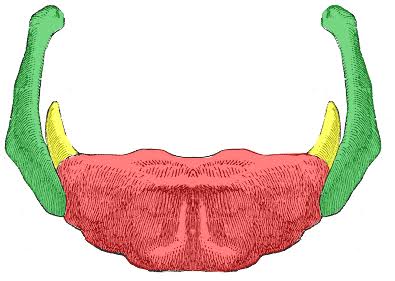 <p>Red</p>