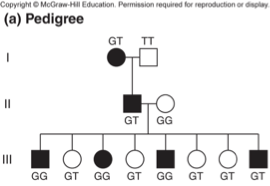 <p><span style="font-family: "Tw Cen MT";">Breakdown of pedigree information #1</span></p>