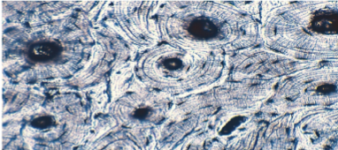 <p>Slide 26</p>