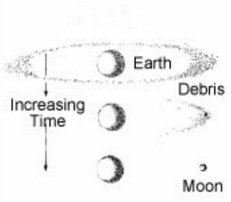 <p>The process where gravity pulls dust and gases together into bigger and bigger clumps, eventually building stars and planets.</p>