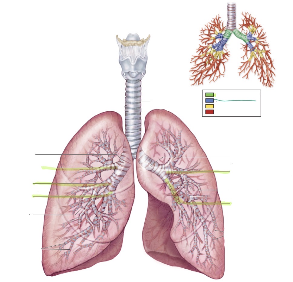 <p>what is this </p>