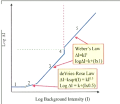 <p>Square Root Law Region: What region is associated with the square root law region?</p>