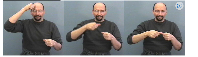 <p>make a’s with hands. leave left hand down by chest. touch right thumbnail to forehead and them left thumbnail</p>