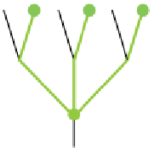 <p><span>includes the most recent common ancestor but not all of its descendants</span></p>